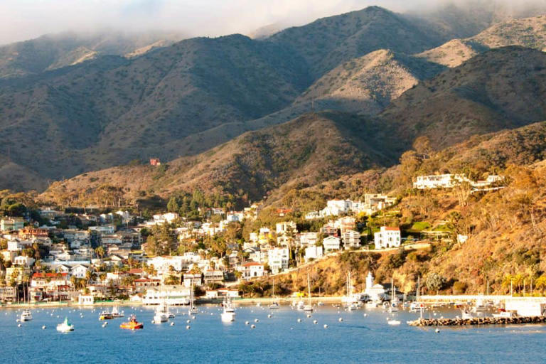 Kayaking To Catalina Island: Is It Possible?