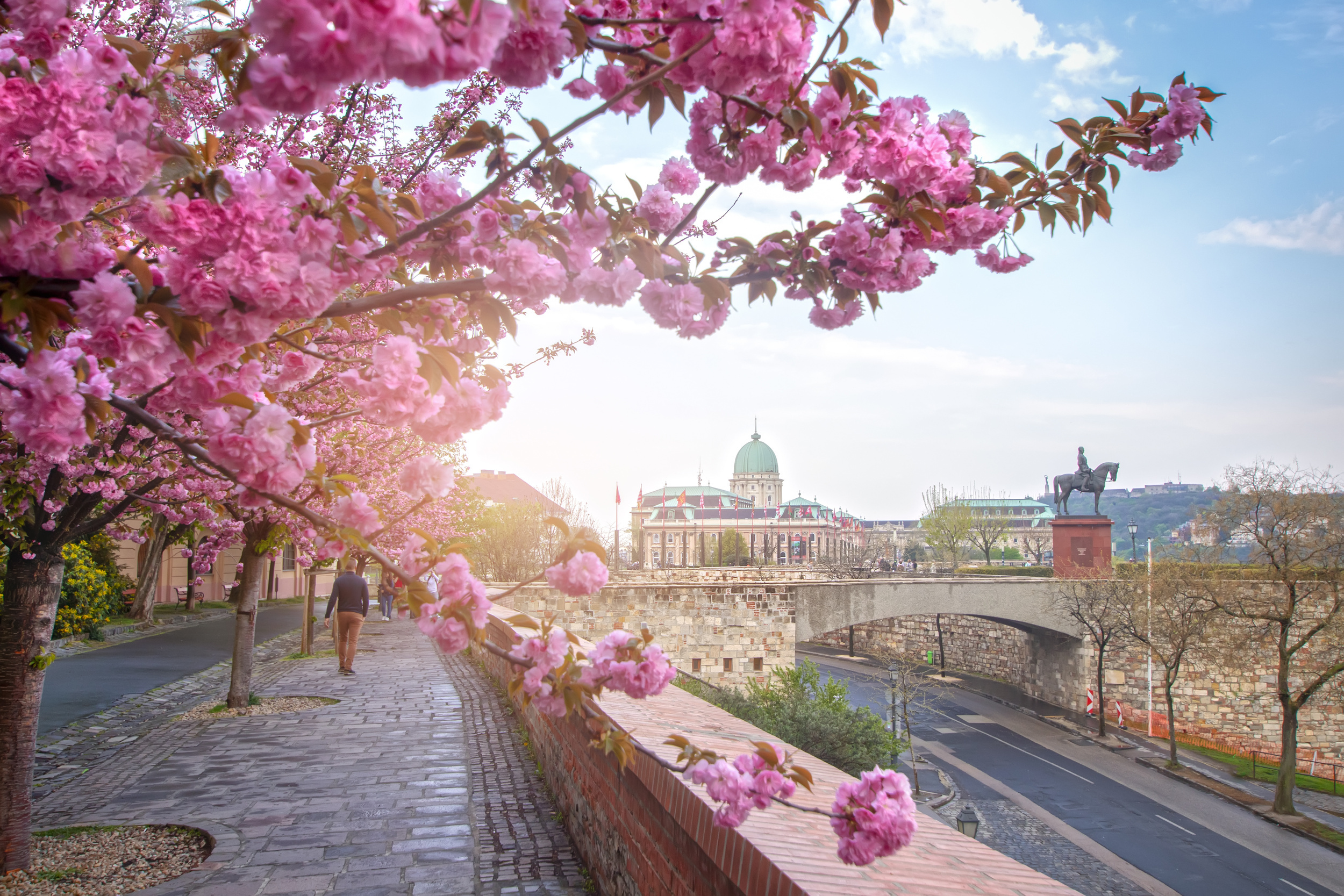 <p>Budapest has become much-loved over the years amongst travelers. The city baths, different forms of architecture, and great cafe scene are just a few reasons why. Spring is a great time to visit the city, thanks to the flowers blooming in the parks and streets.</p><p>You may also like: <a href='https://www.yardbarker.com/lifestyle/articles/12_high_fat_foods_you_should_avoid_and_12_you_should_eat_regularly_020924/s1__39147466'>12 high-fat foods you should avoid and 12 you should eat regularly</a></p>