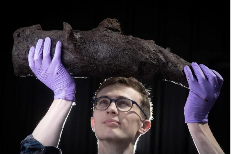 βρέθηκε προϊστορική «χρονοκάψουλα» – τι βρήκαν μέσα της οι αρχαιολόγοι
