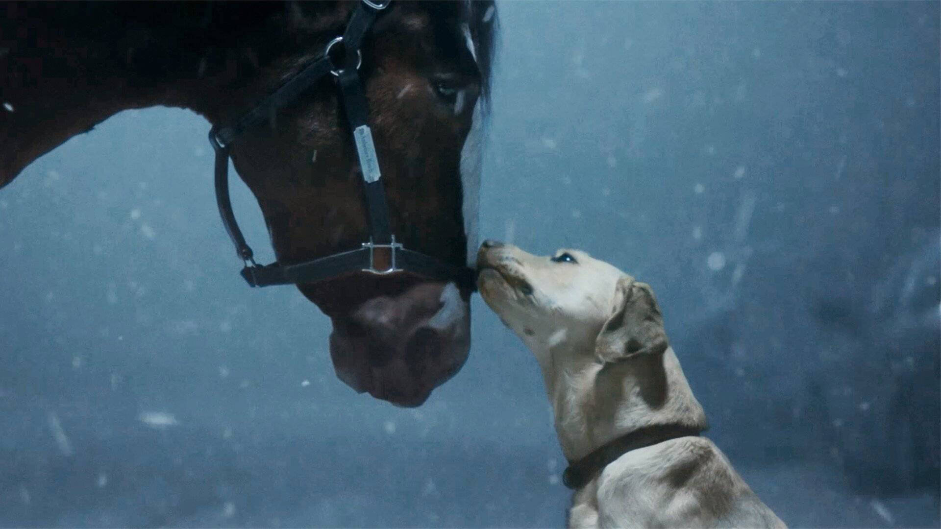 Here All The 2024 Super Bowl Commercials