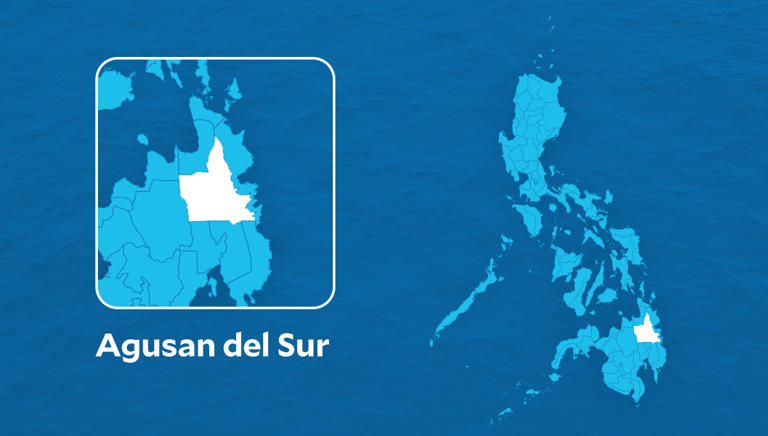 Agusan del Sur bets big on upland coffee in logged highlands