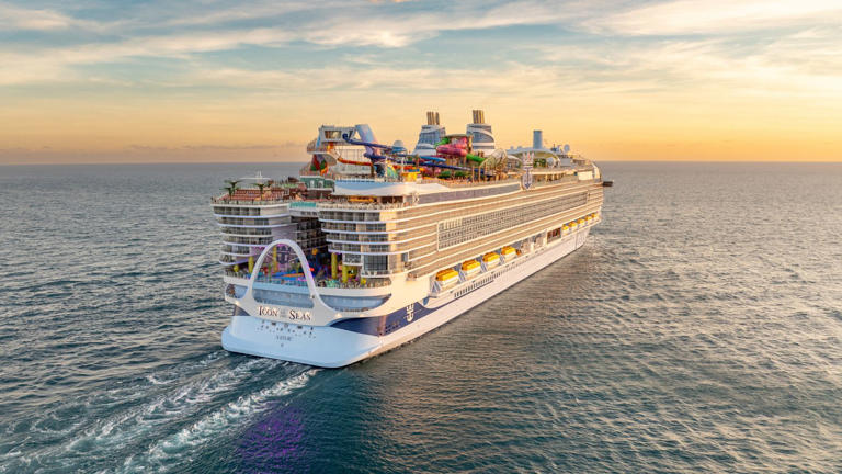 What are the largest cruise ships in the world?