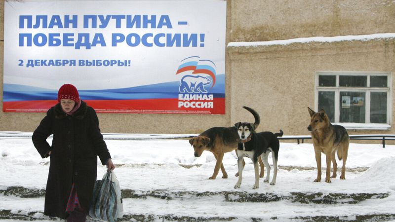 russia: corsa contro il tempo per salvare i cani randagi dall'eutanasia
