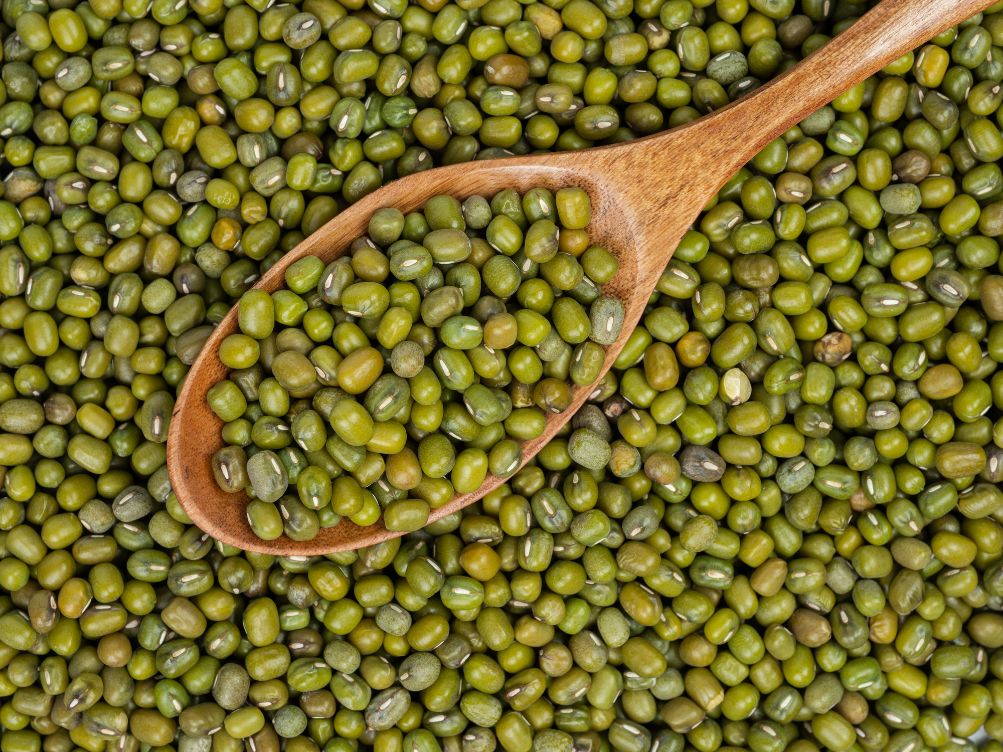 azuki, soja verde... legumbres que se usan poco y que pueden enriquecer mucho tu menú