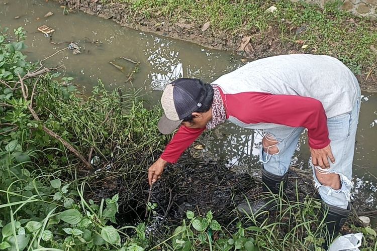 limbah cair dibuang di sekitar hutan kota karawang, ikan dan ular sanca ikut mati