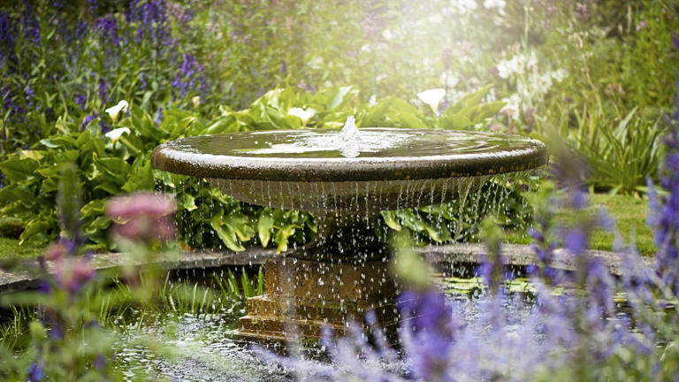 How To Practice Mindful Gardening – And Cultivate A Sense Of Calm