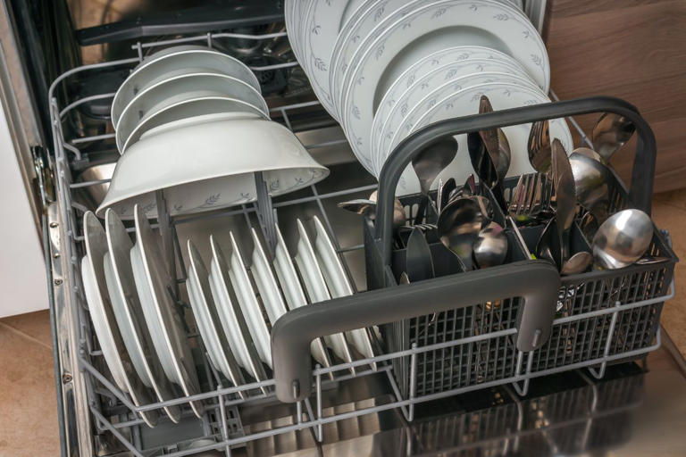 Keeping your dishwasher odorfree Tips on mold prevention and maintenance