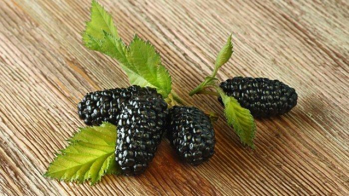 5 khasiat menakjubkan buah murbei untuk kesehatan,termasuk pengontrolan gula darah