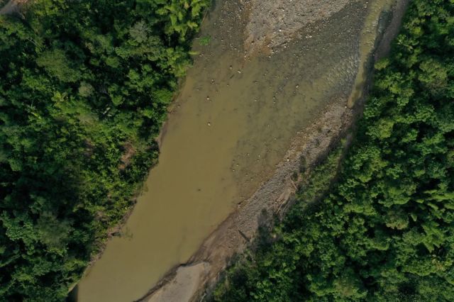 amazon, scientists warn that a disturbing trend in the amazon rainforest is not an isolated anomaly: ‘we should be really worried’