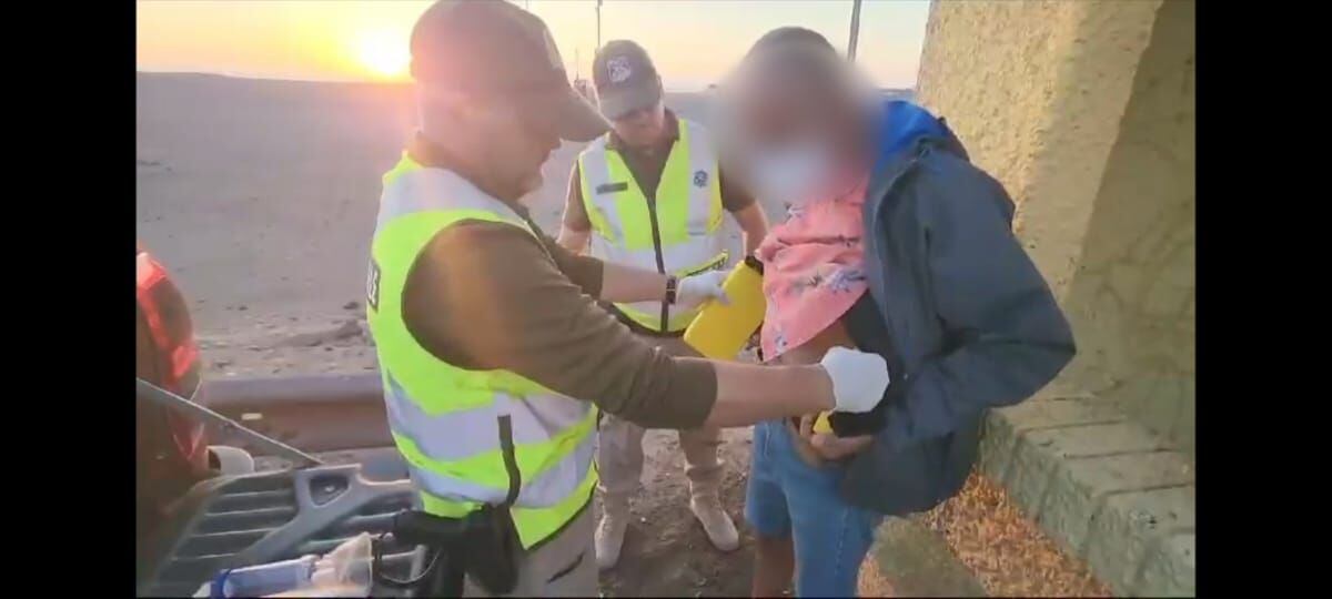 perro policial detecta a hombre con droga dentro de bus en iquique: pretendía transportar 3 kilos de cocaína a la rm