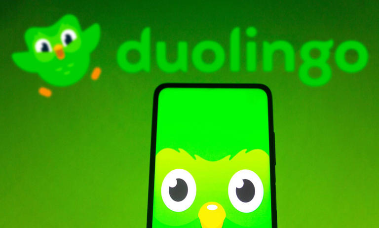 Russian media watchdog investigating Duolingo over ‘LGBT propaganda’