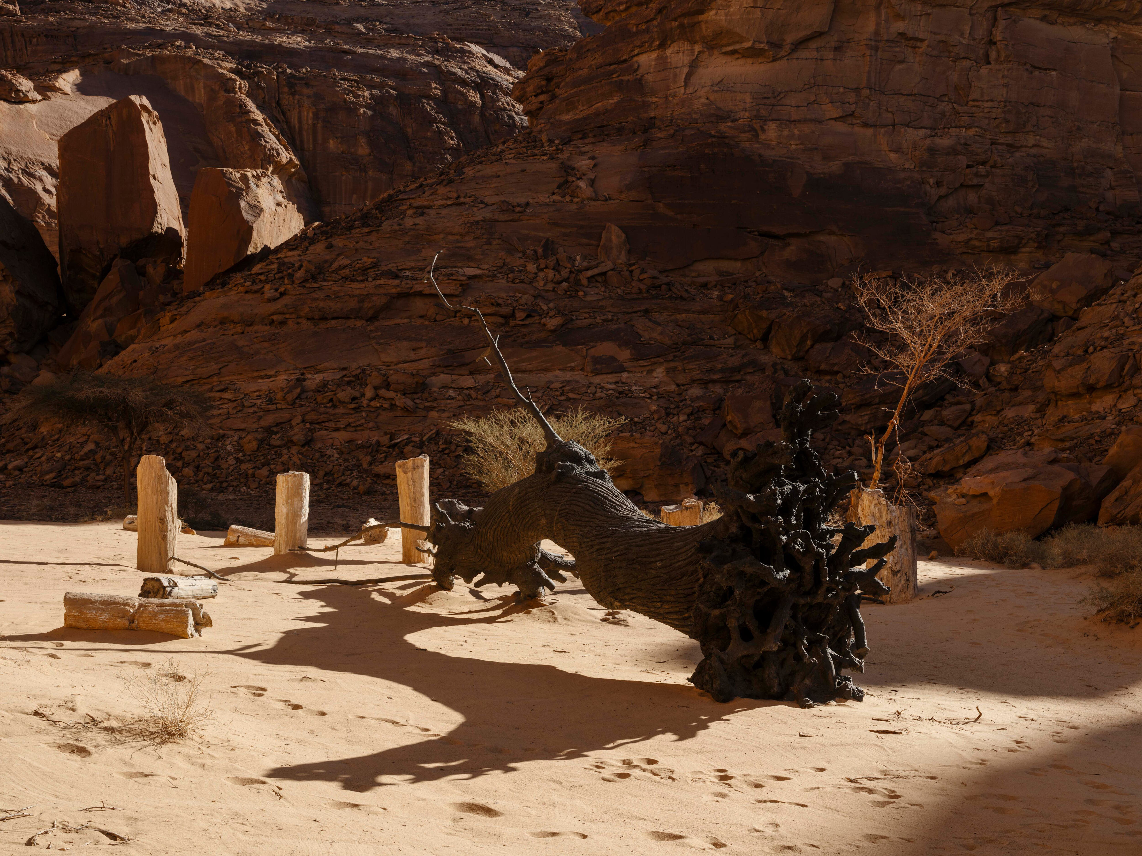 desert x alula 2024 unveils monumental installations in ancient city