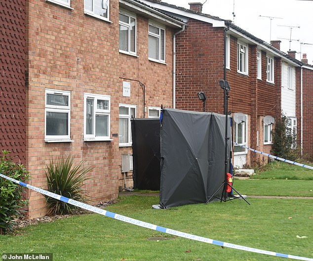neighbours 'heard woman screaming' before police arrested 47-year-old man for murder after female in her 60s was found dead in 'quiet' village