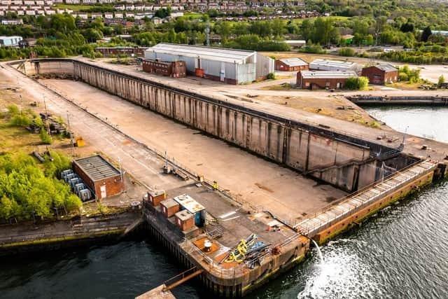 nationalising scottish port could 'give scotland a bad reputation', trade body warns