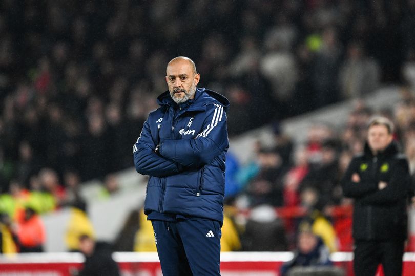nottingham forest in 'precarious' position as relegation verdict given after newcastle united defeat