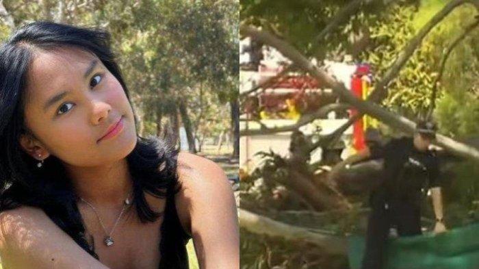 mahasiswi asal indonesia tewas tertimpa pohon 10 ton di australia,ini respon wali kota adelaide