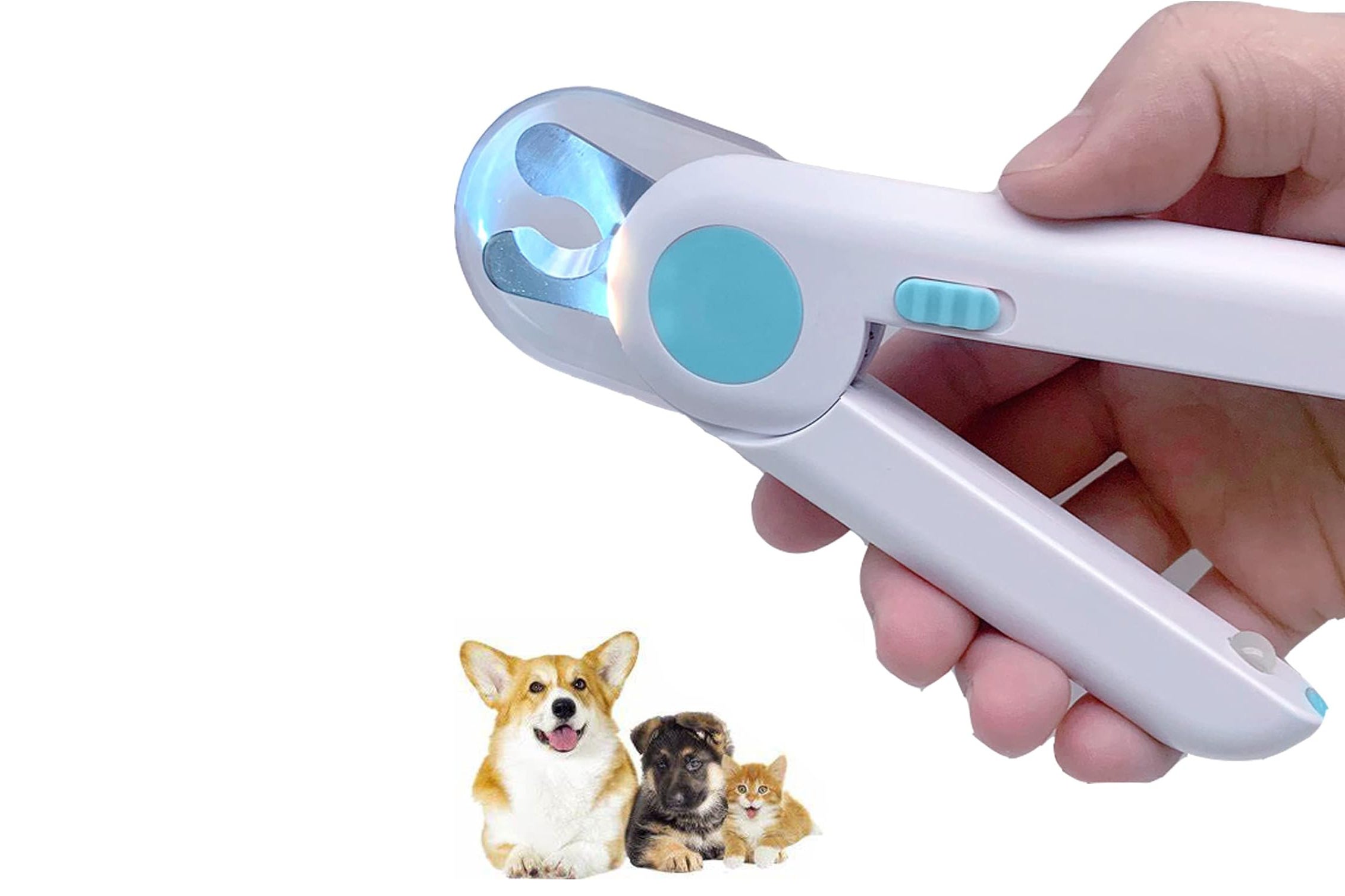 Best Nail Clippers For Dogs To Buy In 2024 Tried And Tested   BB1i6zko.img