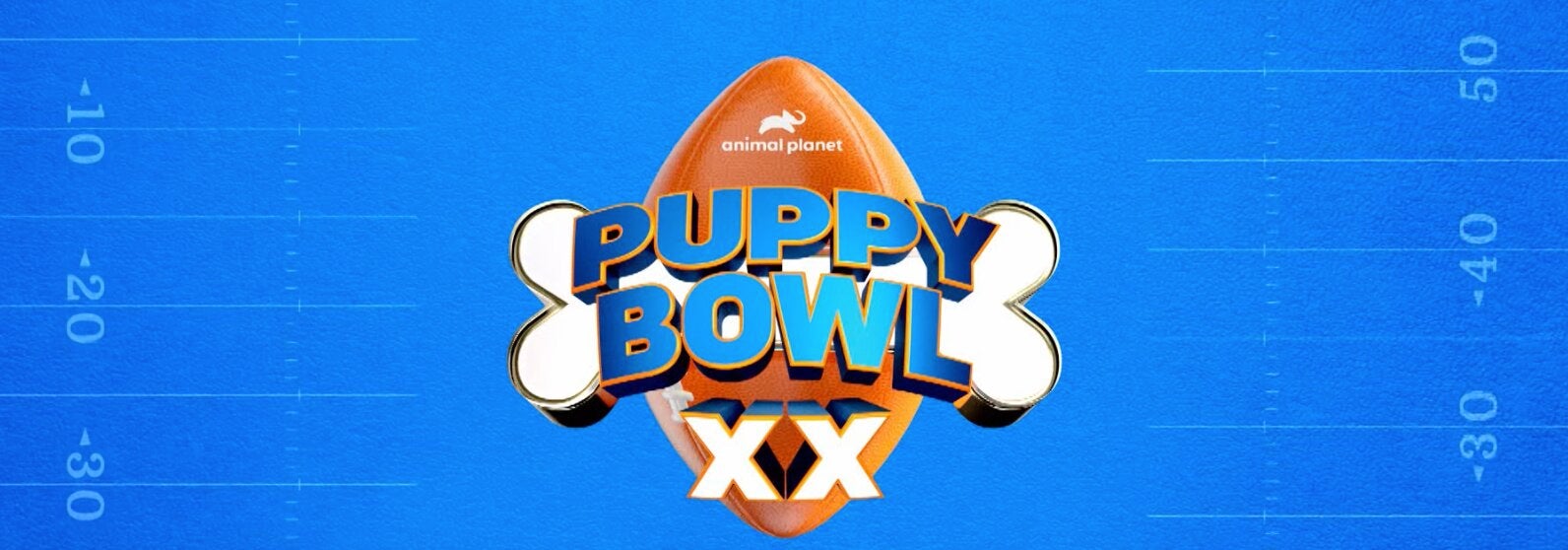 How To Watch 2024 Puppy Bowl Live Online Without Cable   BB1i73kC.img