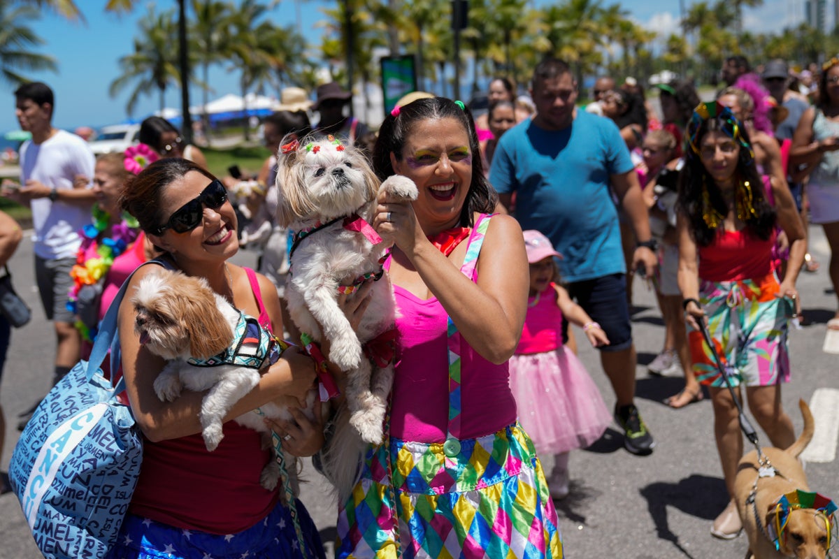 Watch Again Brazil Carnival 2024 Celebrations As Cordao De Boitata   BB1i74qt.img