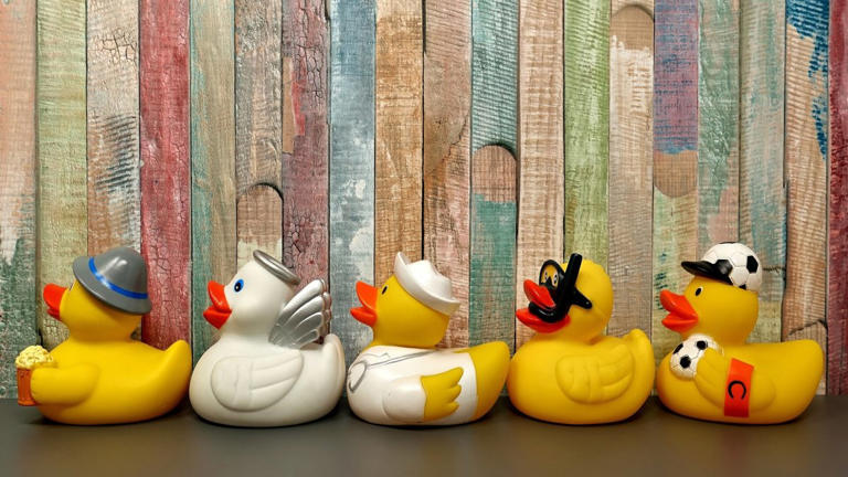 Rubber ducks are lined up against a wooden background. Lead.