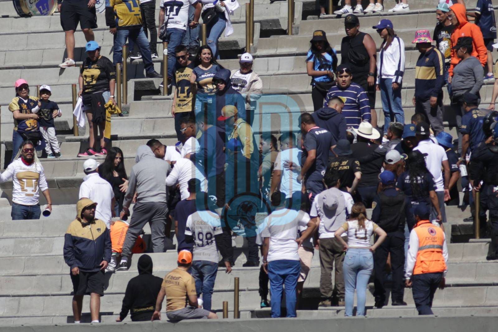 la rebel, barra de pumas, protagoniza pelea en las gradas del estadio olímpico universitario