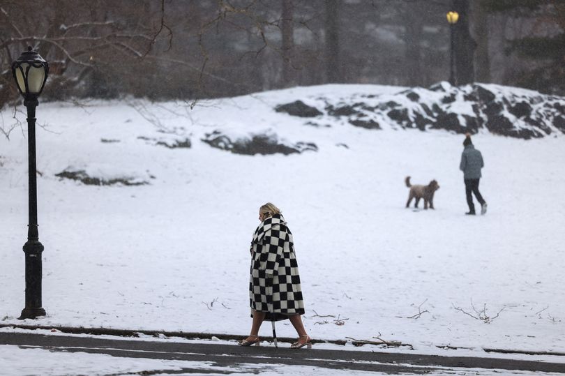 new york could be hit by up to 12 inches of snow as state braces for storm