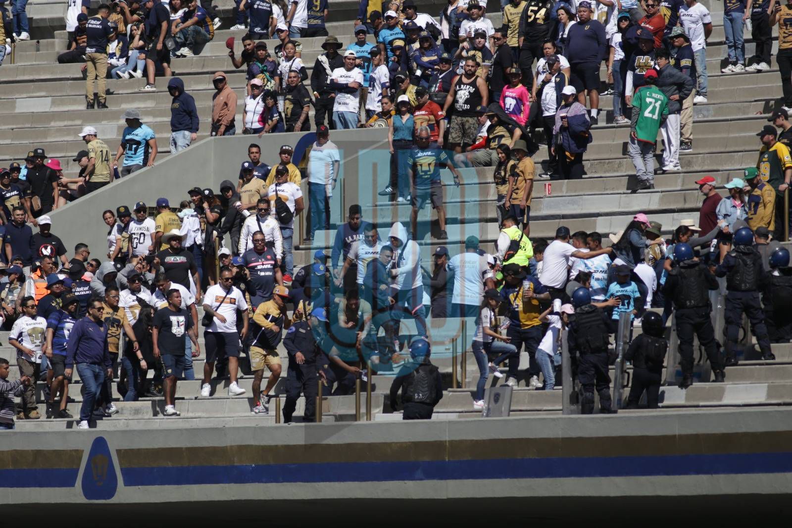 la rebel, barra de pumas, protagoniza pelea en las gradas del estadio olímpico universitario