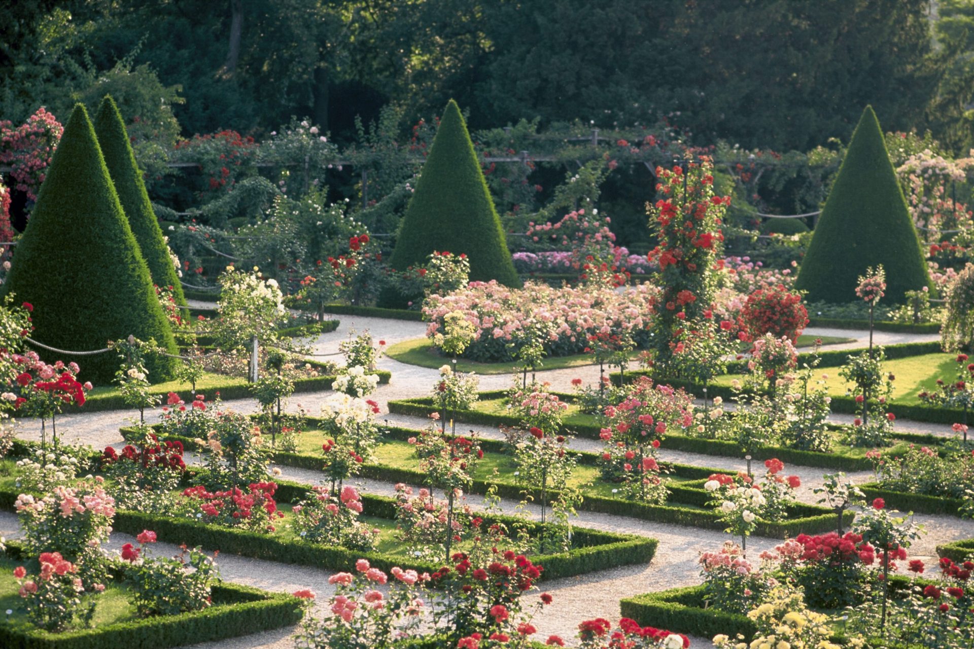 <p>Nestled in the Bois de Boulogne, this magnificent garden is famous for its rose collection, boasting about 1,100 varieties that offer a burst of color and fragrance in spring and summer.</p>