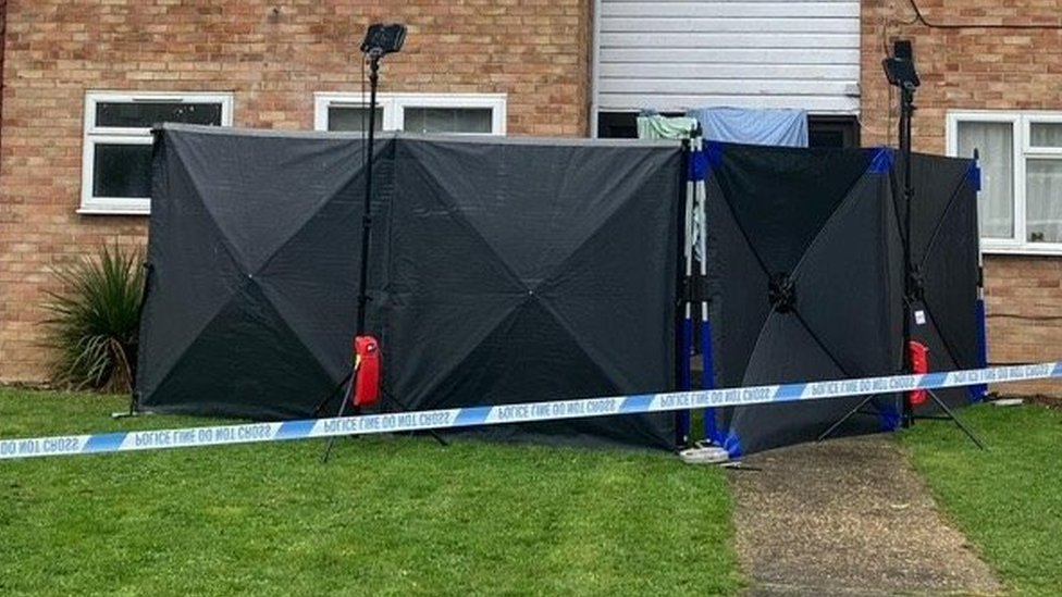 man charged with murdering woman in her 60s