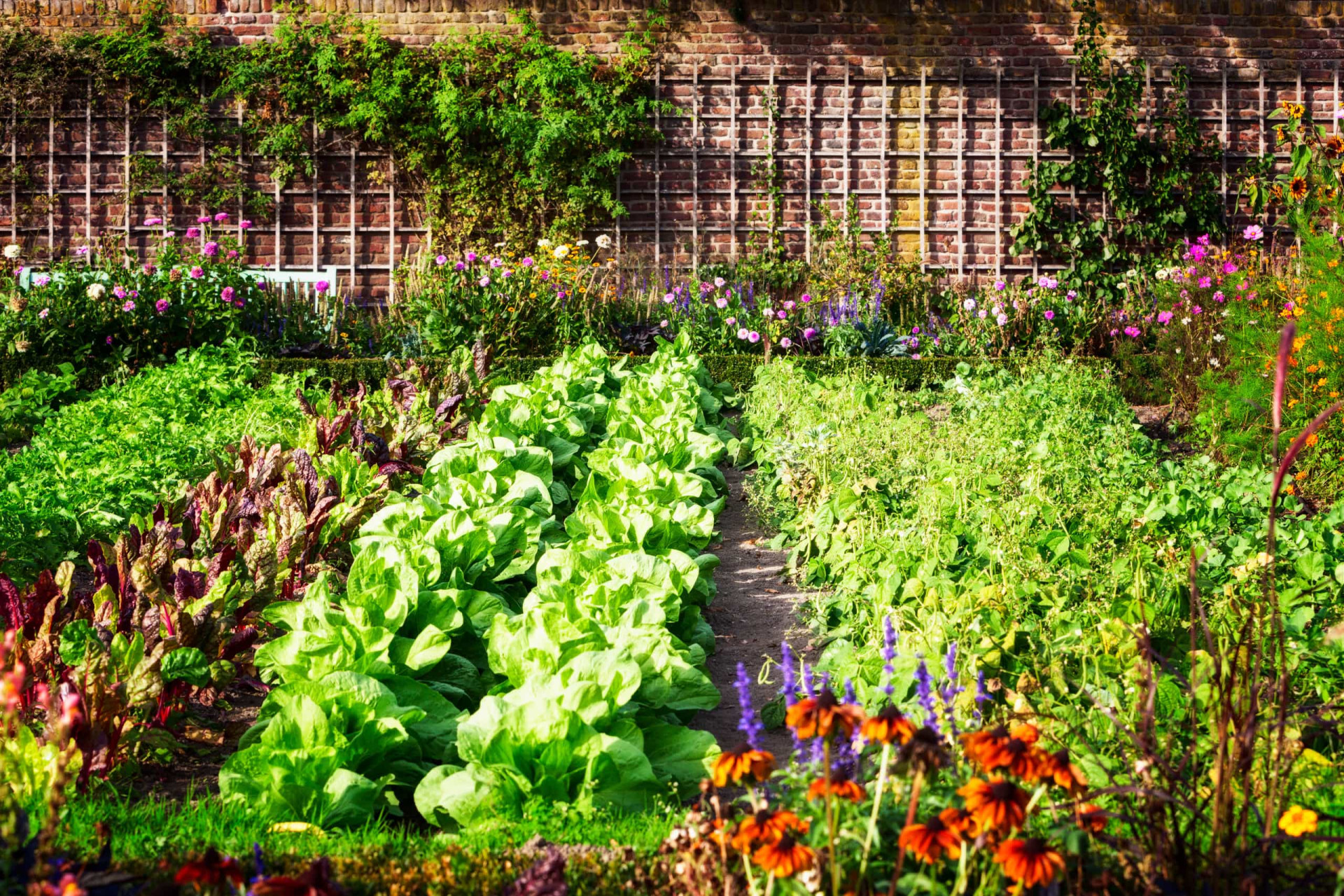 <p>When it comes to growing food, this is not always the case. For example, over-composting can add too much organic matter to the soil, causing problems such as disease and poor drainage. Also, overusing fertilizers can cause runoff and impact waterways.</p><p>You may also like:<a href="https://www.starsinsider.com/n/181365?utm_source=msn.com&utm_medium=display&utm_campaign=referral_description&utm_content=491515en-us"> How to identify the warning signs of a stroke</a></p>