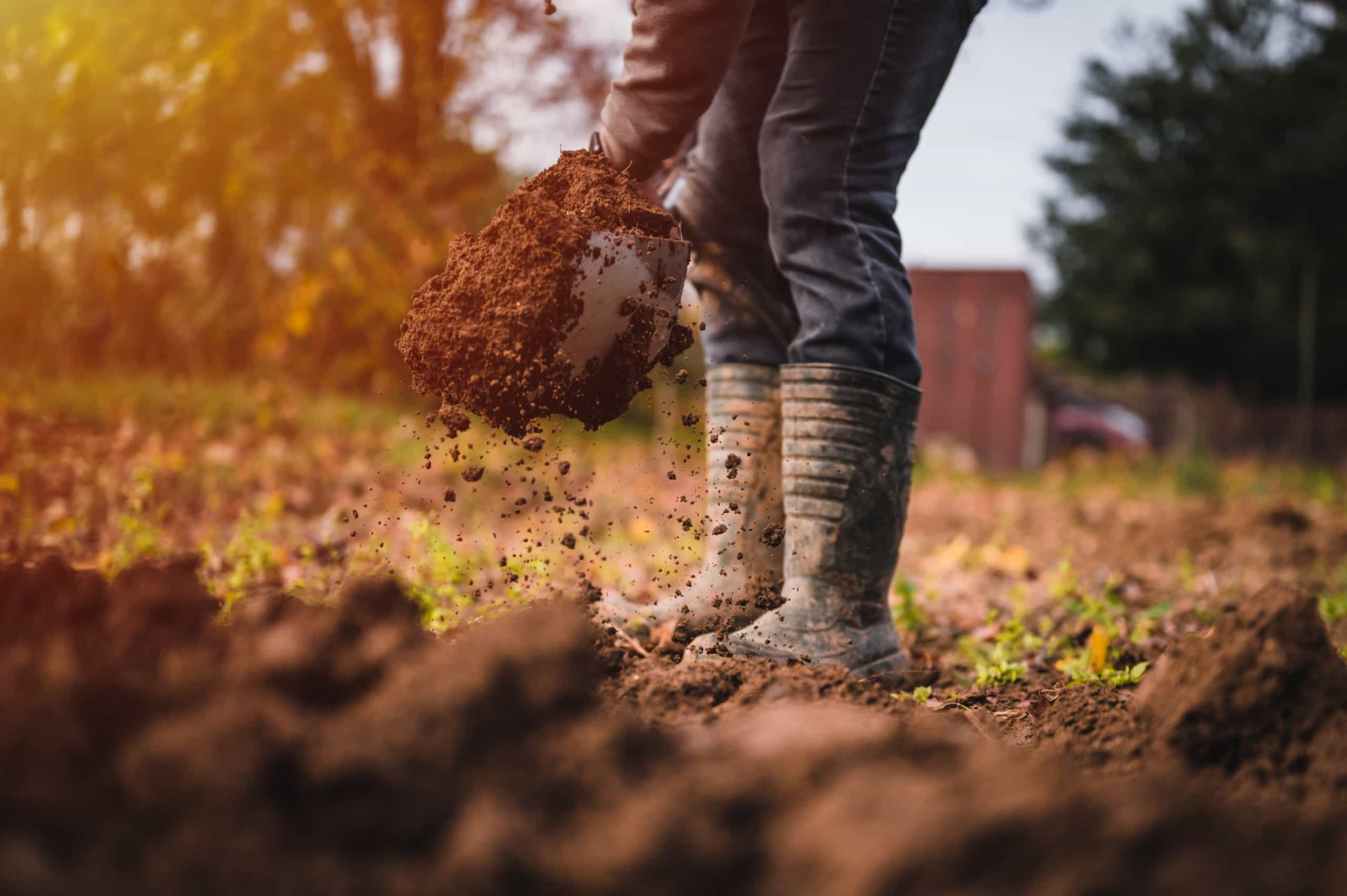 <p>When making a new vegetable garden, many people dig up a new patch in a lawn. But this is actually unnecessary. Instead, go for the ‘no dig gardening’ methodology that protects the soil and keeps it productive.</p><p>You may also like:<a href="https://www.starsinsider.com/n/410255?utm_source=msn.com&utm_medium=display&utm_campaign=referral_description&utm_content=491515en-us"> The best sad songs to cry to</a></p>
