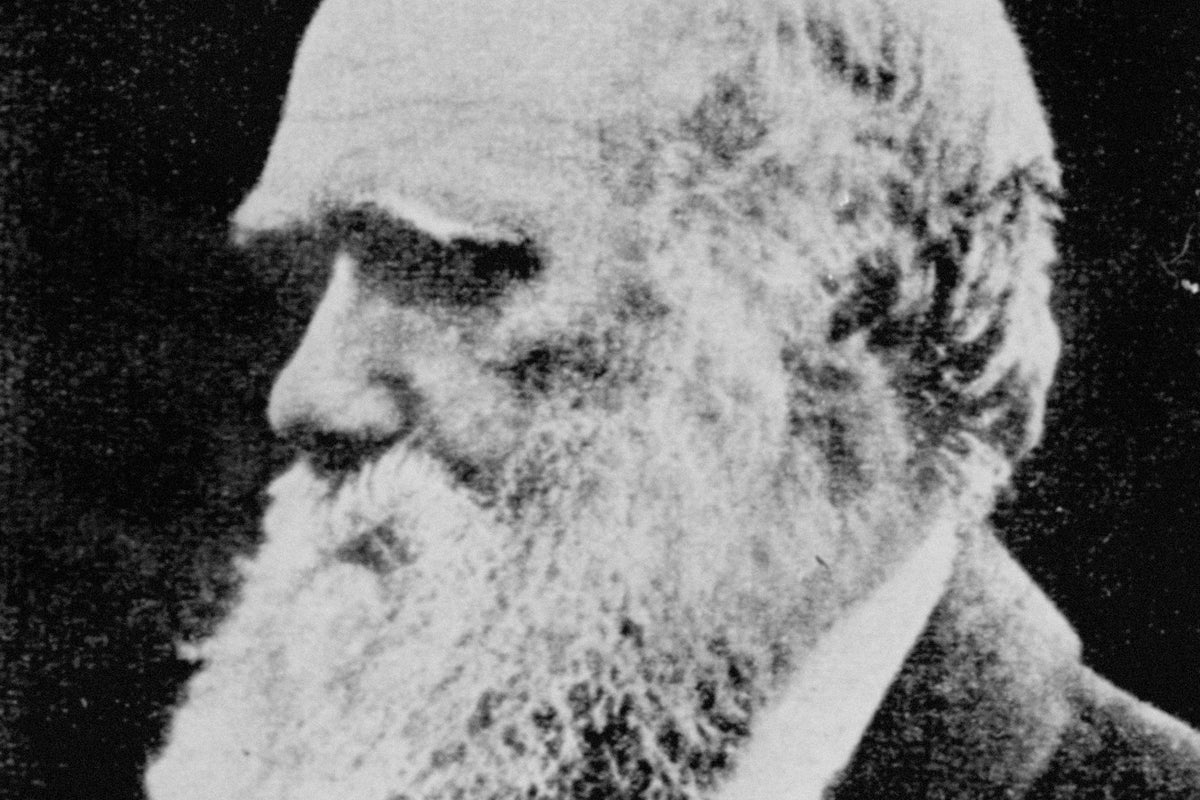 vast personal library of charles darwin uncovered for the first time