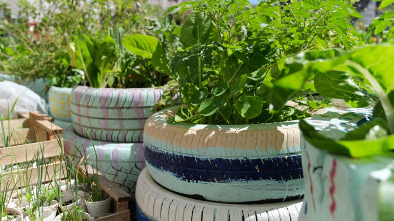 Reusing Old Tires As Garden Planters Is A Big Mistake: Here's Why