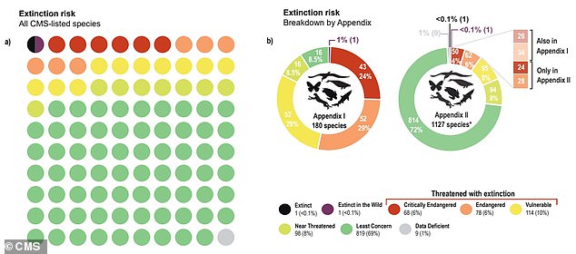 is earth on track for a mass extinction? more than 20% of migratory animals are now at risk of being wiped out, report warns