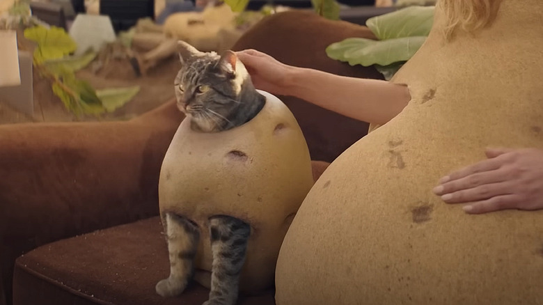 amazon, pluto tv's couch potato ad is one of super bowl 2024's funniest commercials