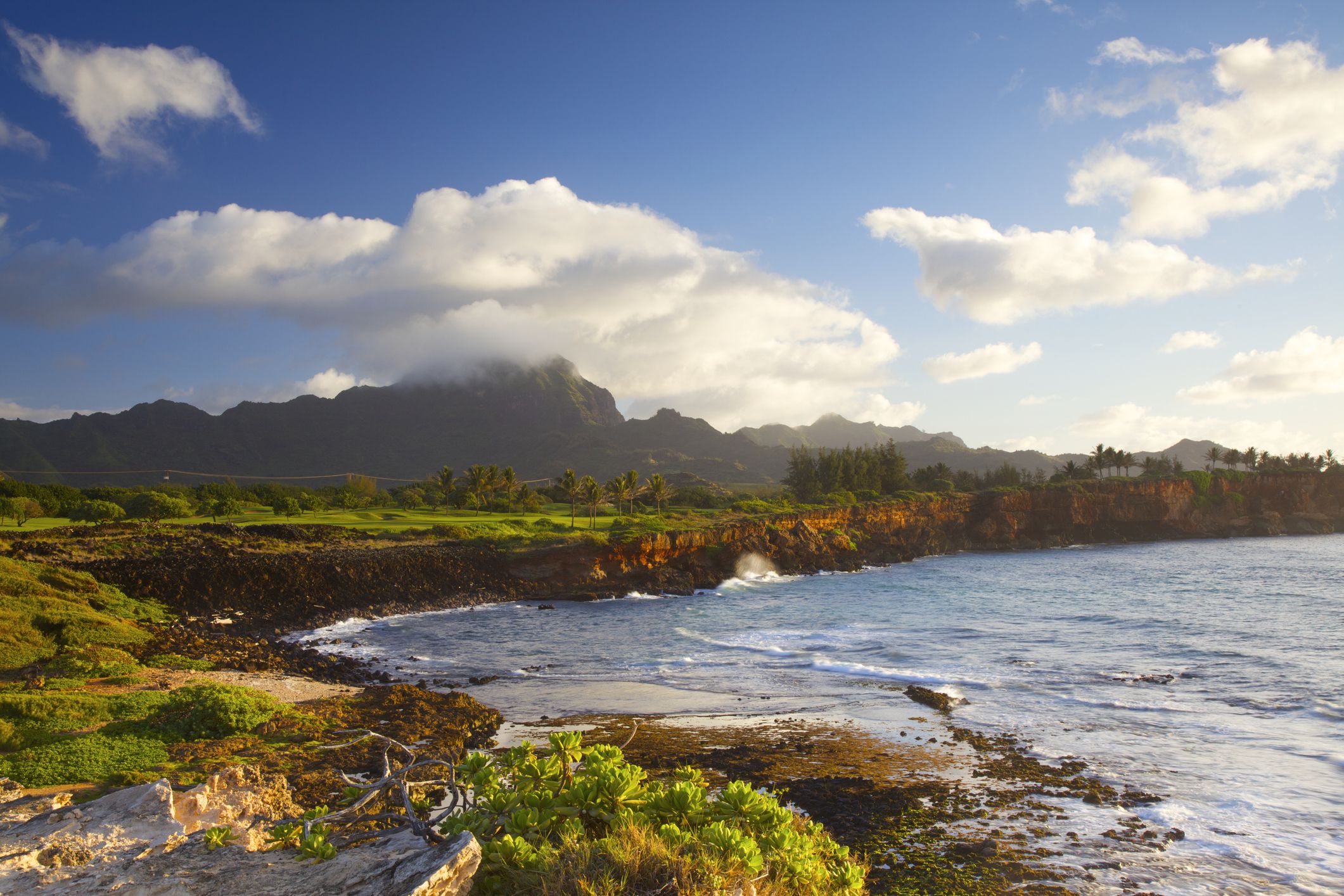 <p>Young adults looking for a more of a small town feel may consider Lihue on the eastern shores of Kauai. Residents enjoy the outdoors on nearby hiking trails and beaches, and can visit local landmarks like the Ninini Point Lighthouse.</p><ul><li>Population: 8,004</li><li>Median Household Income: $83,872</li><li>Cost of Living: 136% of the U.S. average</li><li>Median Rent Price: $2,900</li><li>Home Price-to-Income Ratio: 9.72</li><li>Average Property Tax: 0.28%</li></ul><p class="padding-top-ms u-margin-bottom-ms"><b>Housing Affordability: </b>Lihue is remote and has a tourist-driven economy, which means that housing can be expensive. The rental market is tight and young adults may need time to find a piece of paradise. House values tend to be on the high side as well, with the average over $800,000.</p>