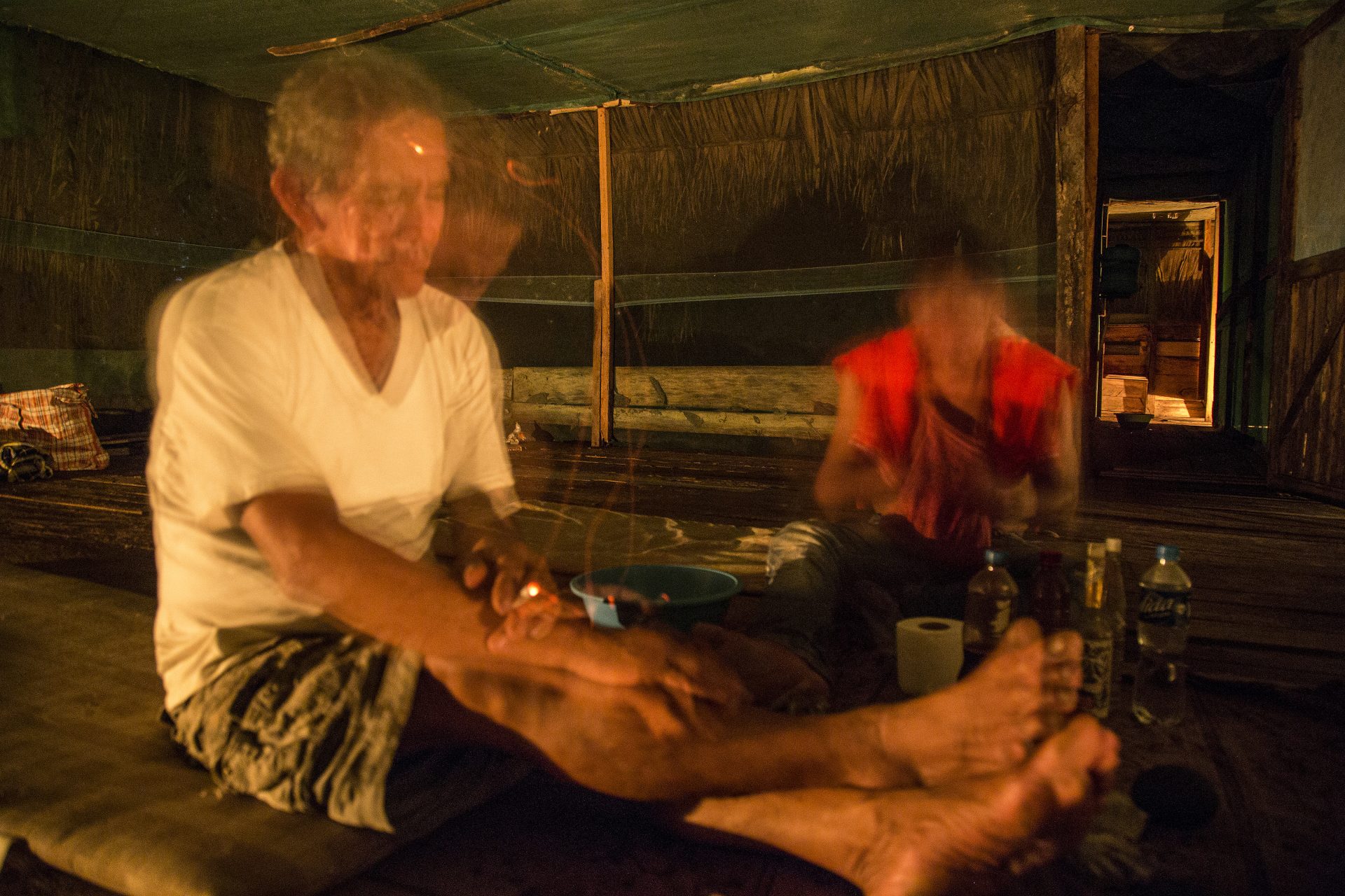 How does ayahuasca affect the brain?