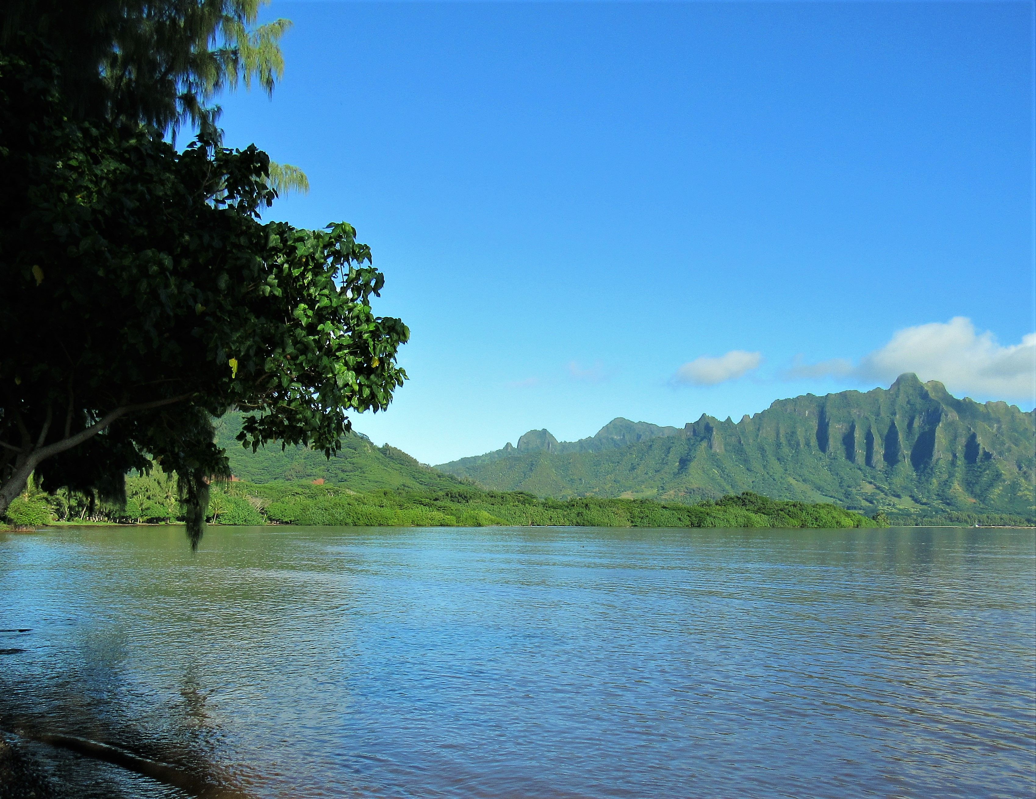 <p>Kahalu’u offers residents a mixed suburban and rural setting. The slow-paced town is only 30 minutes from Honolulu and access to big-city resources like shopping and hospitals. Nearly 22% of the population here is 65 or older.</p><ul><li>Population: 5,241</li><li>Median Household Income: $123,718</li><li>Cost of Living: 128% of U.S. average</li><li>Median Rent Price: $3,000</li><li>Home Price-to-Income Ratio: N/A</li><li>Average Property Tax: 0.32%</li></ul><p class="padding-top-ms u-margin-bottom-ms"><b>Housing Affordability: </b>Median rent prices in Kahalu’u are $3,000 per month, significantly higher than the national average. This small census-designated place shares a real estate market with neighboring Kaneohe. There are relatively few properties for sale here at any given time, but prices start at $600,000 and travel well north of $1,000,000.</p>