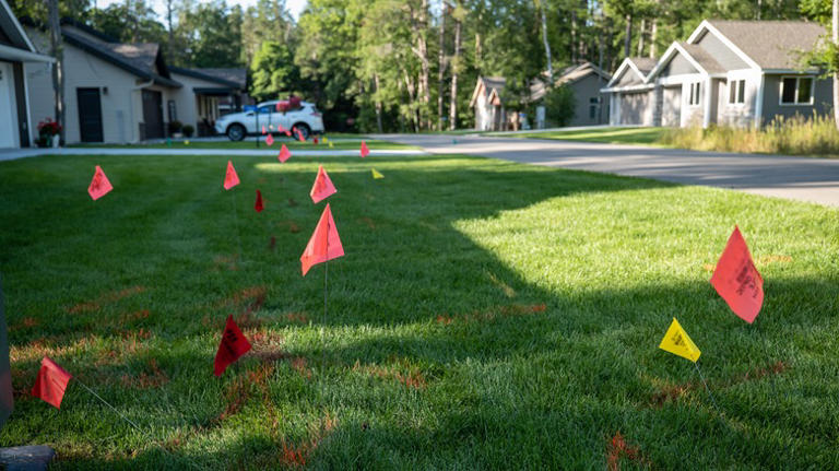 The Different Colored Lawn Flags & What They Mean