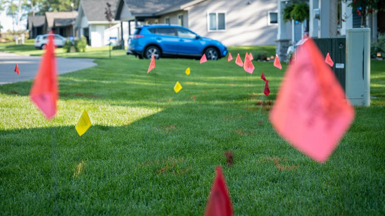 The Different Colored Lawn Flags & What They Mean