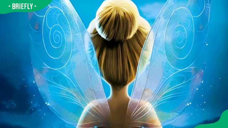 Tinker Bell Movies In Order A Quick And Easy Guide For Fairy Fans