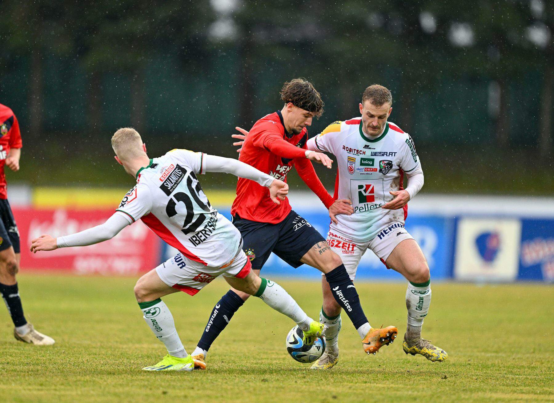 Rapid Und Der Weg In Die Meistergruppe