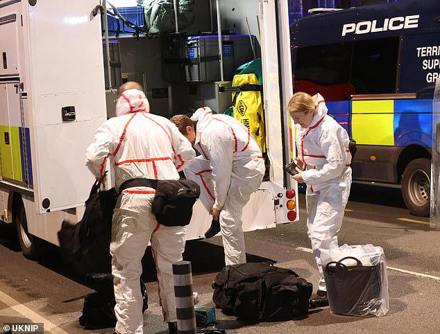 Dramatic moment police swoop on 'acid attacker' who seized London bus ...