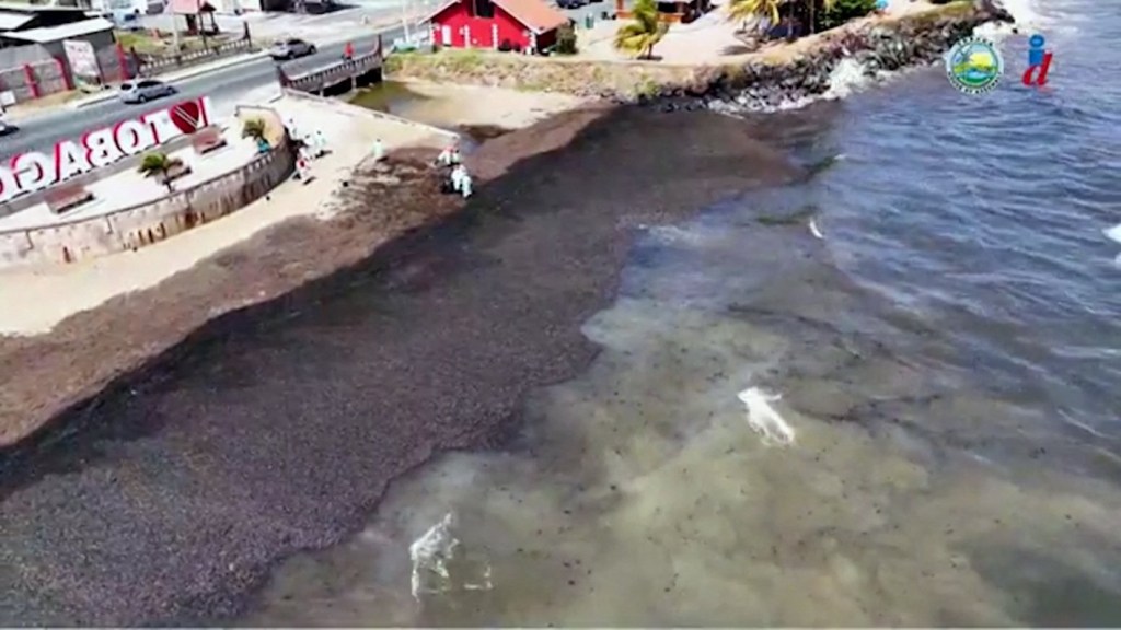 Mystery Shipwreck Washes Up At Caribbean Beach And Causes ‘disaster Oil Spill 3464