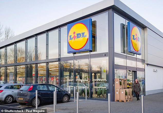 Lidl supermarket chain offers car leasing online in Germany