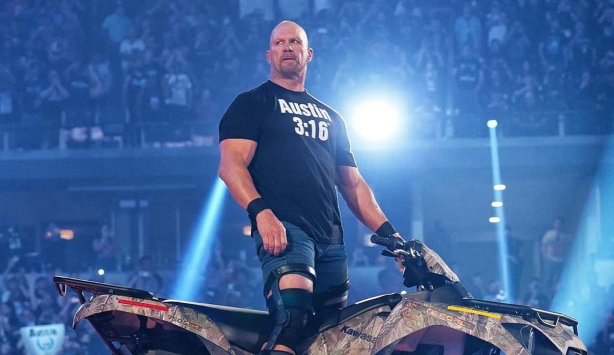 steve austin names ufc fighters he thinks could cross over to wwe