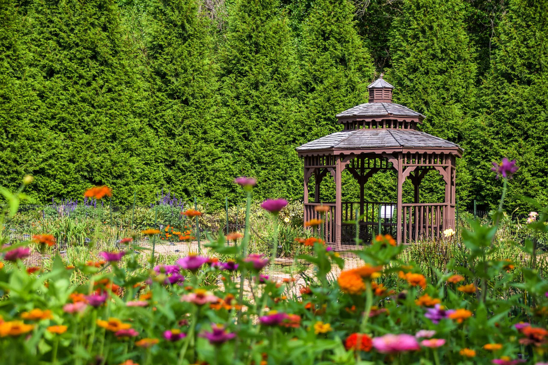 <p>In the scenic city of Springfield, southwestern Missouri, the Nathanael Green Memorial Park attracts hordes of green-thumbed visitors. Here you'll find dozens of themed gardens, as well as a butterfly house and a myriad of walking trails.</p><p>You may also like:<a href="https://www.starsinsider.com/n/433459?utm_source=msn.com&utm_medium=display&utm_campaign=referral_description&utm_content=486112v1en-us"> Celebrities who support Donald Trump</a></p>