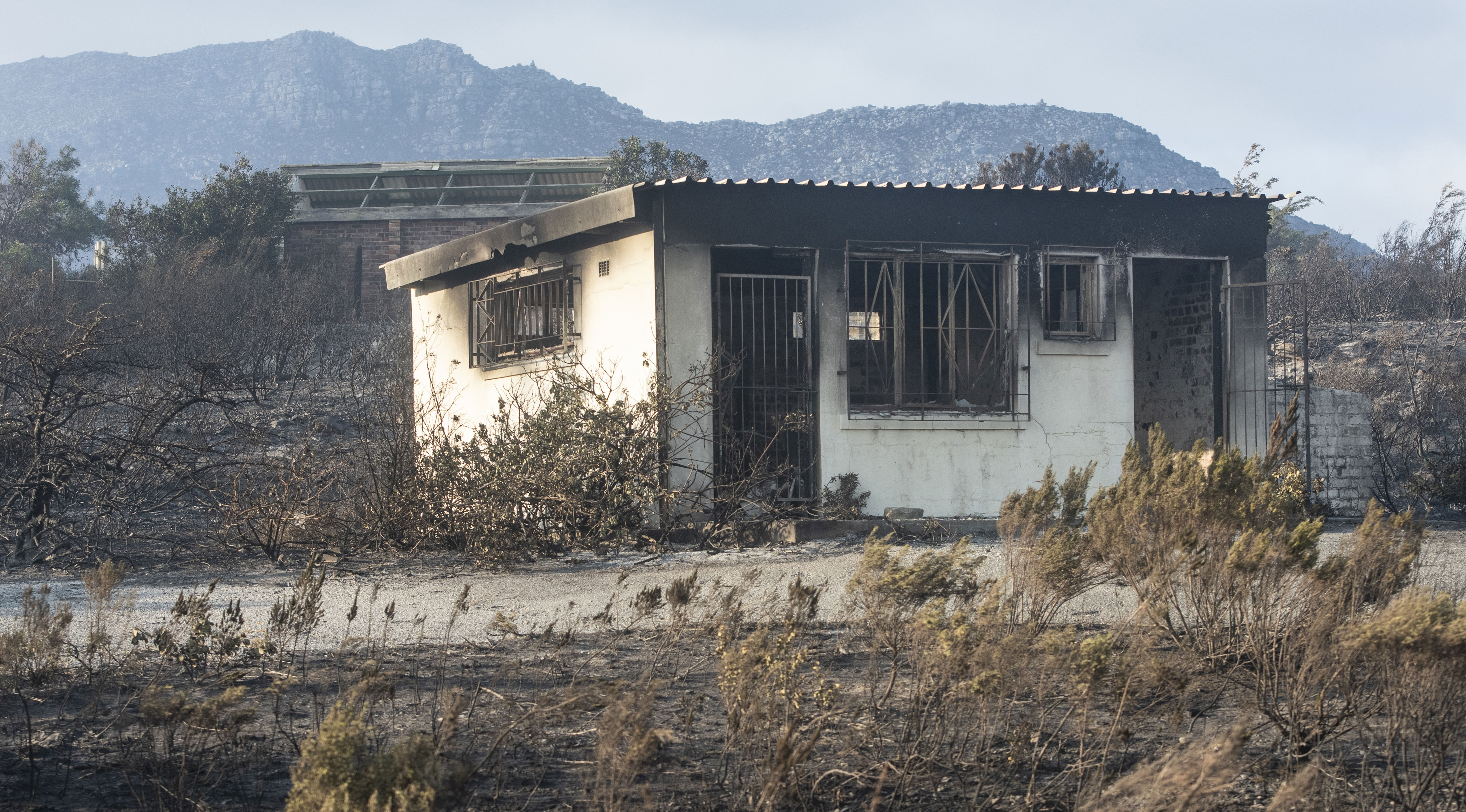 navy’s land management neglect in the cape poses risk of disastrous wildfires, say experts