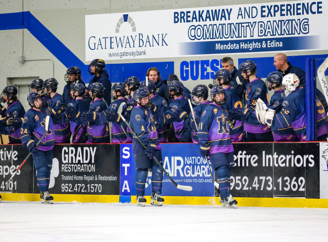 Minnesota High School Boys Hockey: 2024 MSHSL Section Tournament Brackets