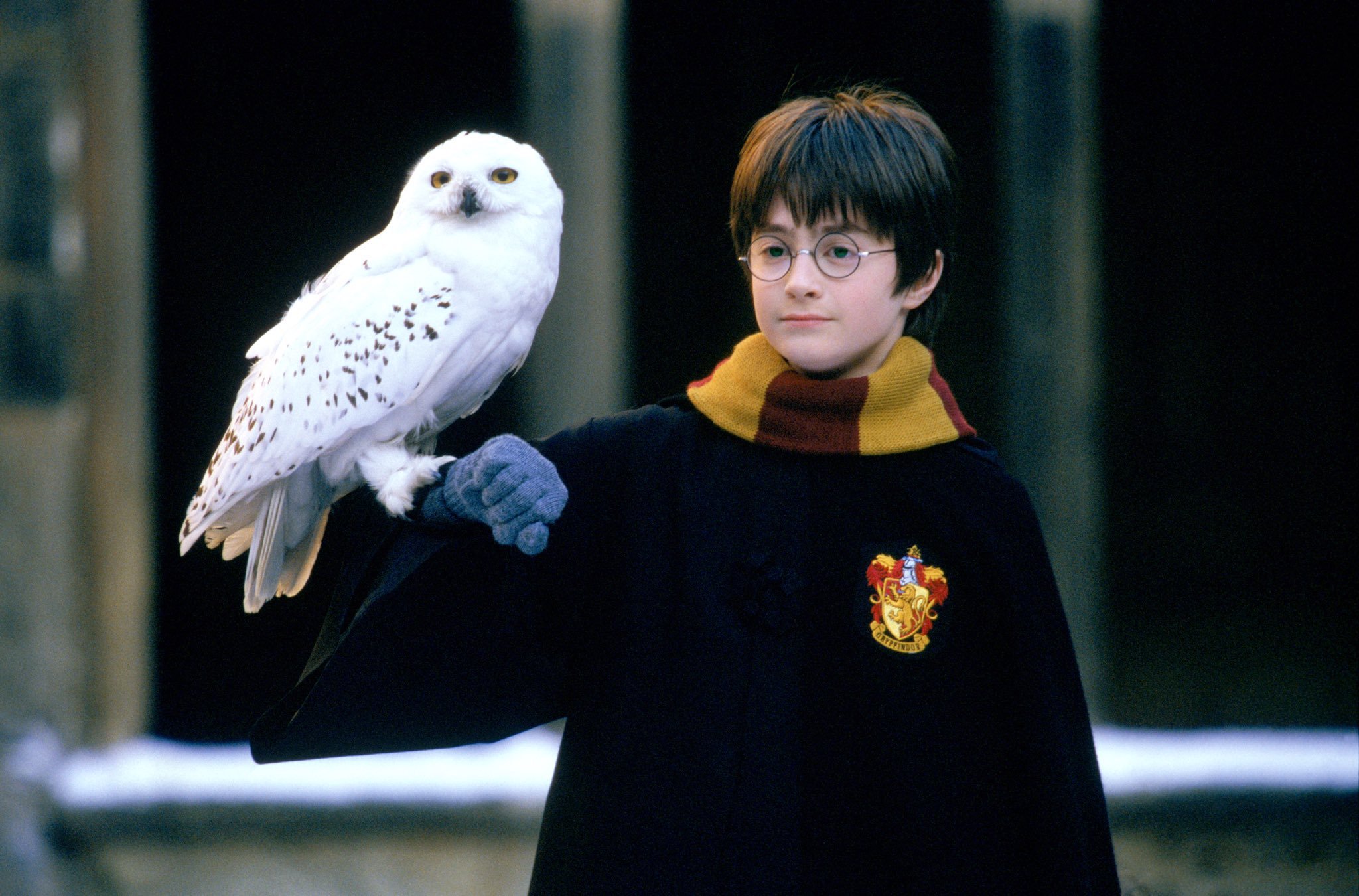 Harry's beloved Hedwig was one of the many owls used throughout filming. Of course, each student had their own pet -- with many of them opting to have owls. These furry flying creatures were also the primary apparatus as it pertained to exchanging mail and messages. Having CGI owls flying around with mail would seem a bit too hokey and artificial-looking. As such, other measures were taken. <br> <br> Hedwig, the owl, was played by four different owls. Initially, the letters each owl had to carry were too heavy. As such, the crew spent ages re-writing Harry's letters of admittance to Hogwarts with lighter paper (the scene from the first film when they're furiously flying into his aunt and uncle's home). From there, it took months for the owls to be trained to carry said mail.
